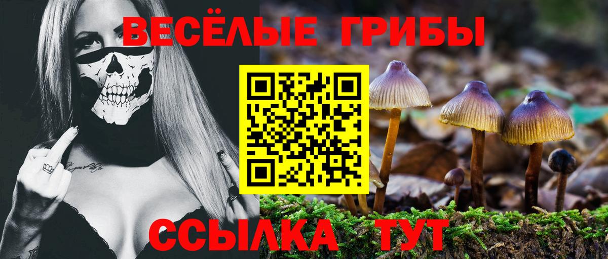 Галлюциногенные грибы прущие грибы Рубцовск